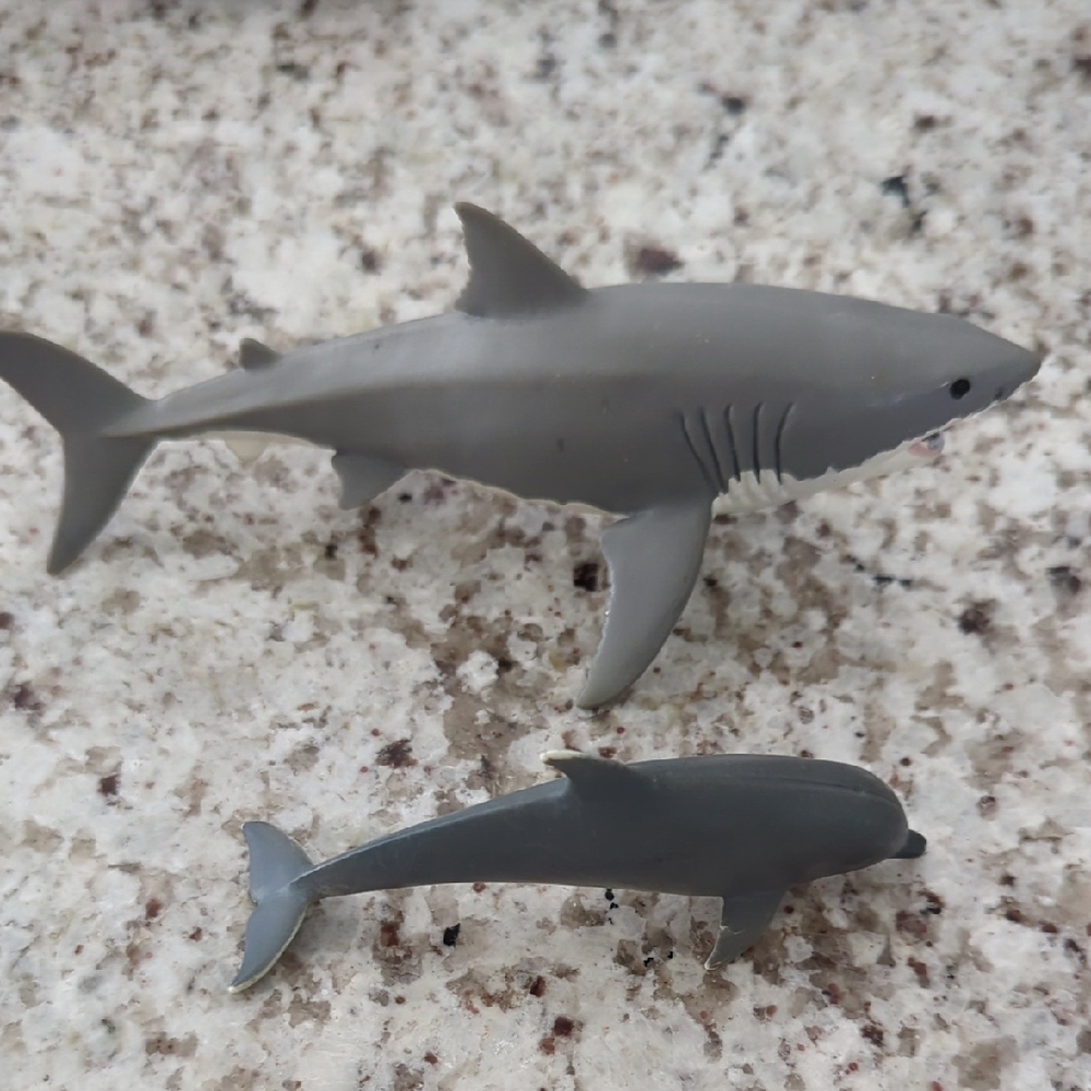 Oceanic Gray Shark and Dolphin Figurine Set
